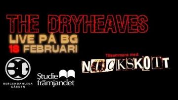 Konsert/BG med The Dryheaves och Nackskott 2016