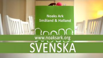 Noaks Ark - Hivtest med snabbsvar (Svenska)
